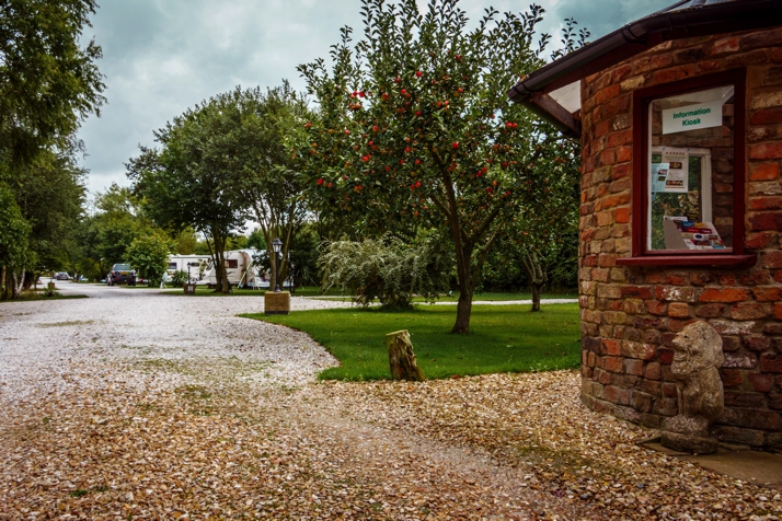 Adult only caravan park pitches and apple trees at Long Acres Touring Park